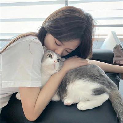 纵横案线第三季
